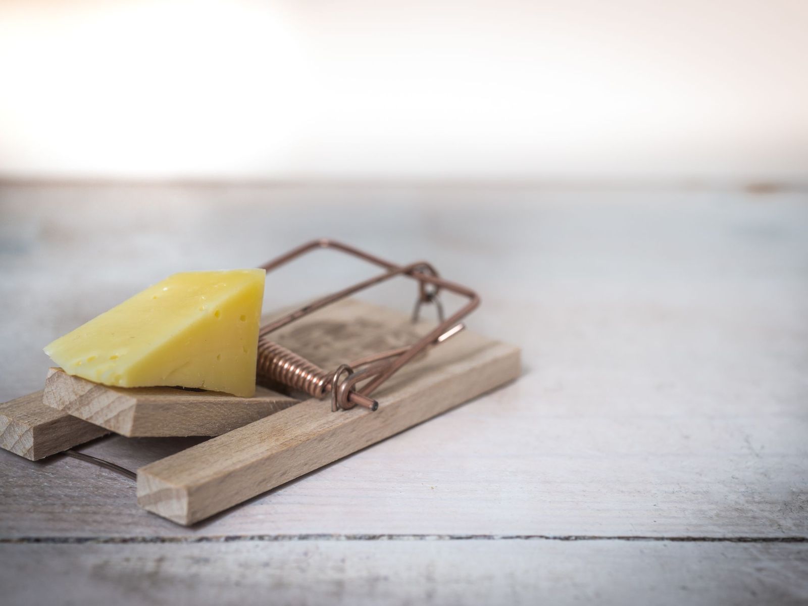 Wooden snap trap baited with a piece of cheese